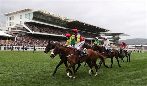 cheltenham races results today